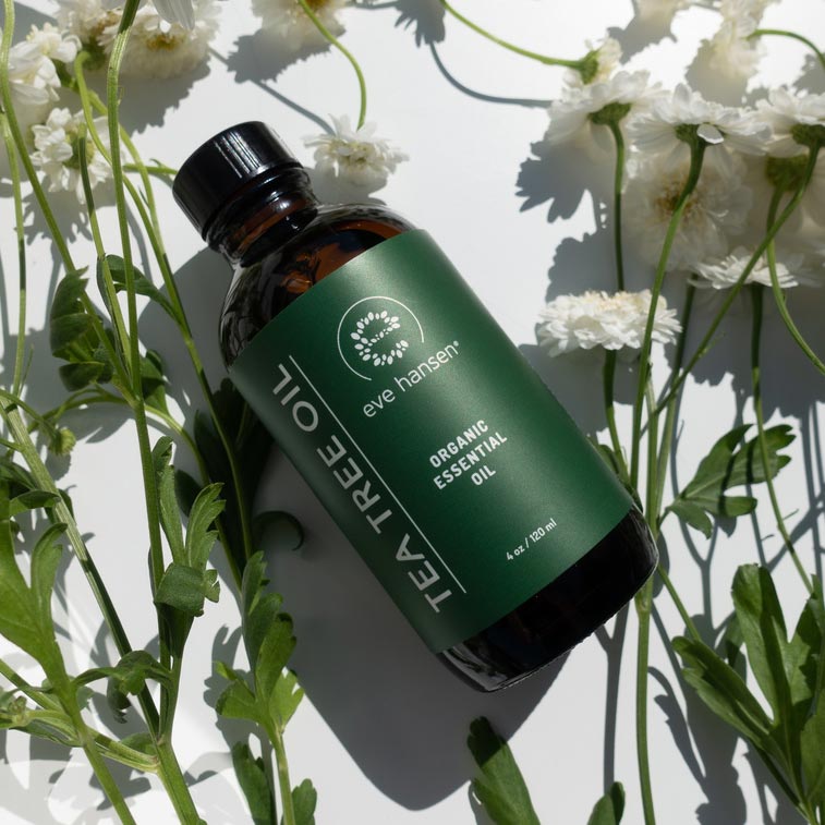 Free Your Foot – How to Use Tea Tree Oil For Foot Fungus