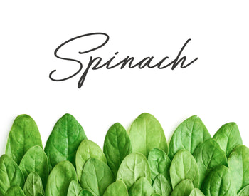Ingredient Of The Week: Spinach Extract