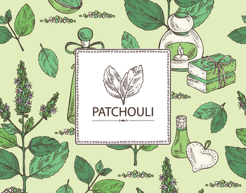 Ingredient of the Week: Patchouli Oil