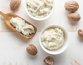Ingredient of the Week: Shea Butter
