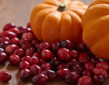 Cranberries in Skincare - Everything You Need To Know