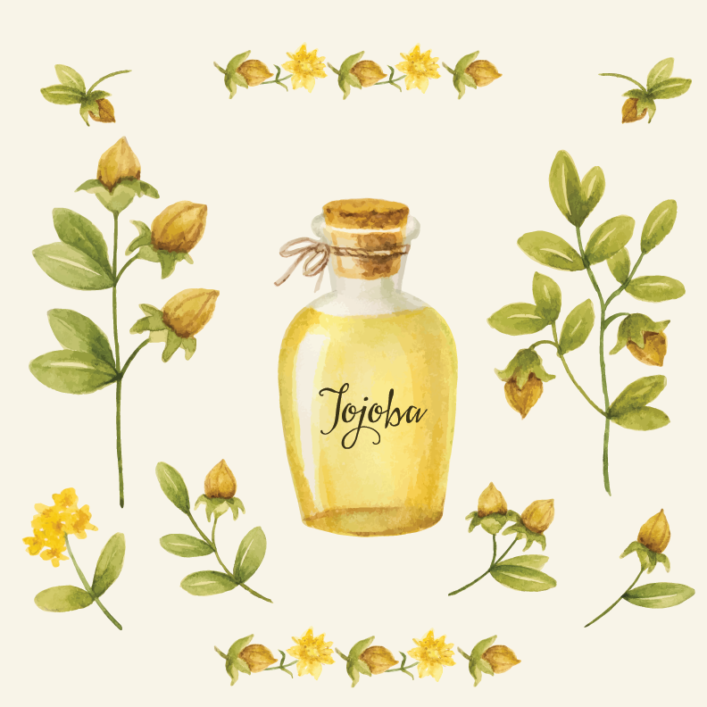 Ingredient of the week: Jojoba Oil