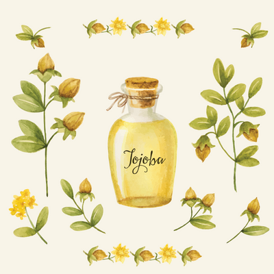 Ingredient of the week: Jojoba Oil