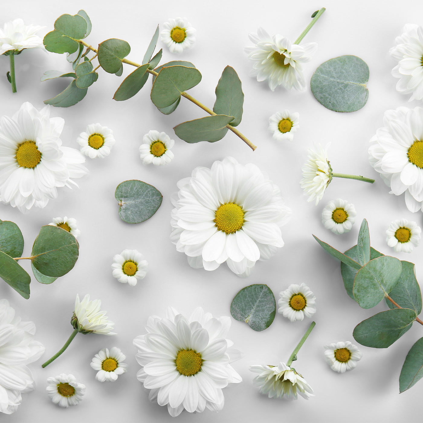 Flower Power - Taking Over the Skin Care Industry One Petal At A Time