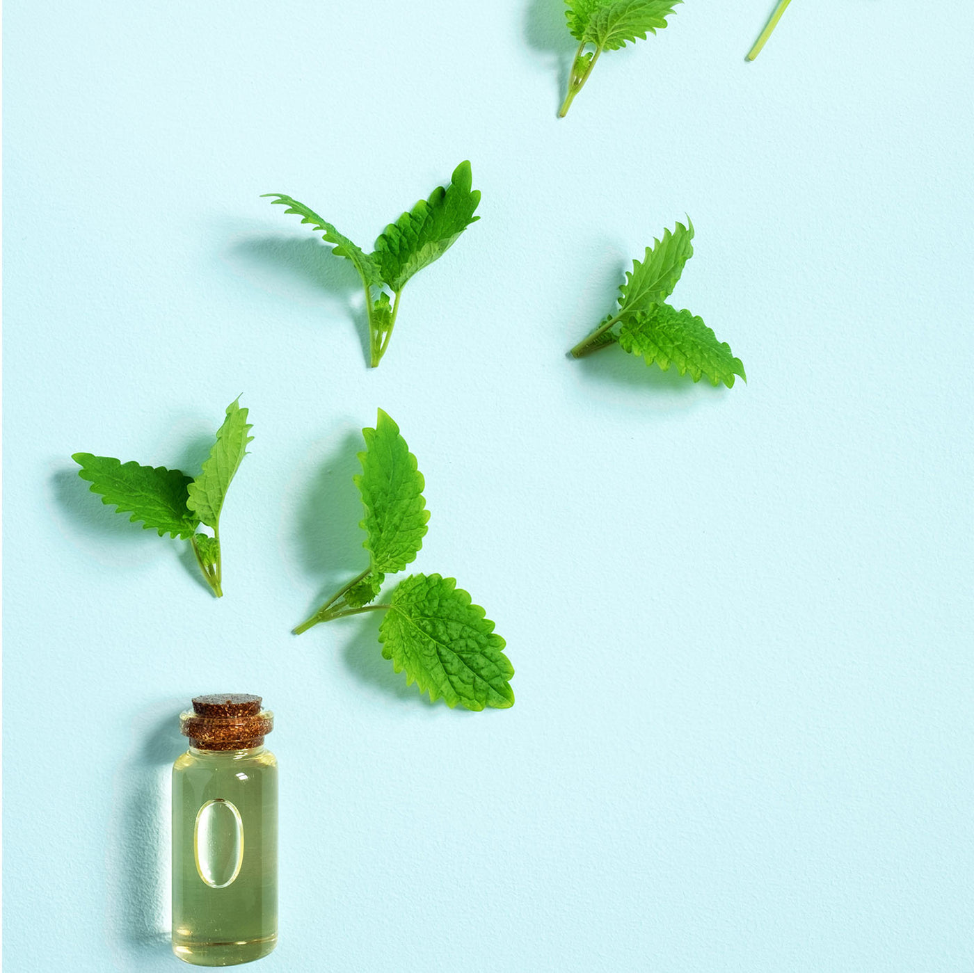Ingredient of the Week: Peppermint Oil