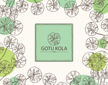 Ingredient of the Week: Organic Gotu Kola Plant Extract