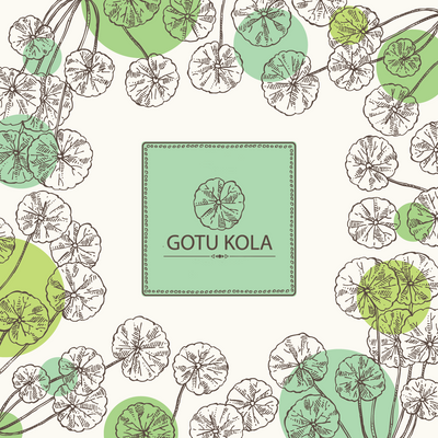 Ingredient of the Week: Organic Gotu Kola Plant Extract