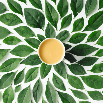 Tea Tree to the Rescue