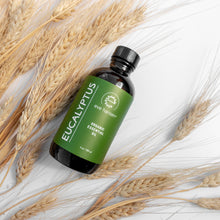 Organic Eucalyptus Oil - 4 oz