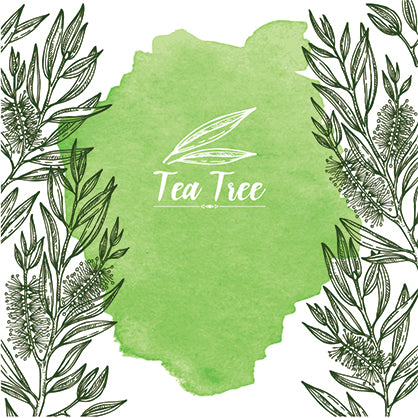 Top 7 Questions About Tea Tree Oil Uses
