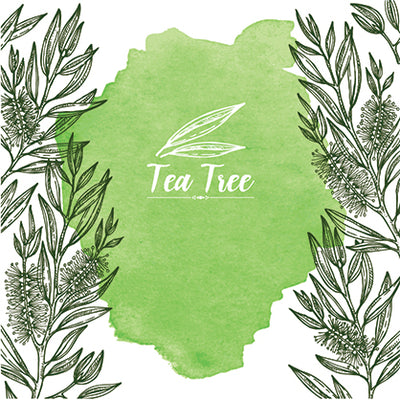 Top 7 Questions About Tea Tree Oil Uses