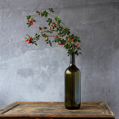 Ingredient Of The Week: Rosehip Oil