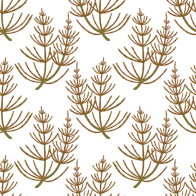 Ingredient of the Week: Horsetail Plant Extract