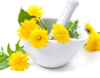 Ingredient of the Week: Organic Dandelion Extract