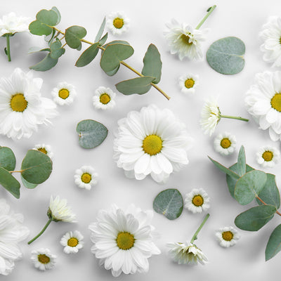 Flower Power - Taking Over the Skin Care Industry One Petal At A Time