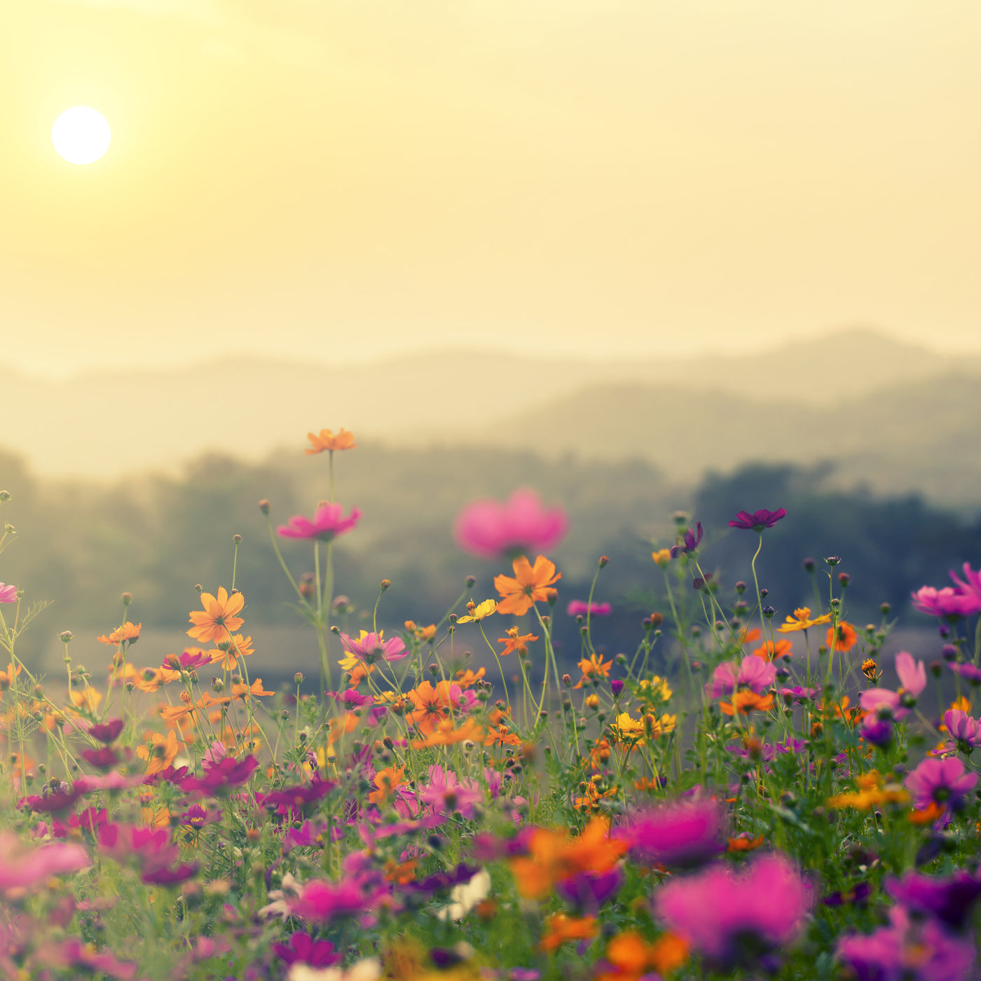 Morning Skin Care Vs. Night Time Skin Care – Should It Matter?