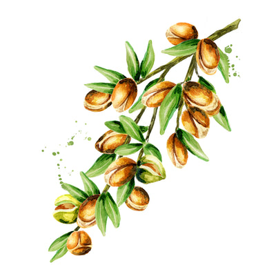 Ingredient of the Week: Argan Oil