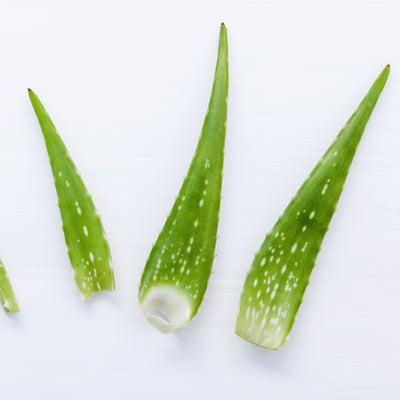 Ingredient of the Week: Aloe Leaf Juice