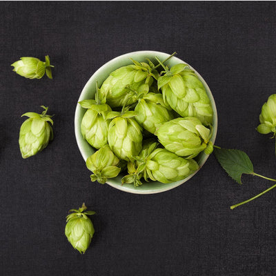 Ingredient of the Week: Hops Plant Extract