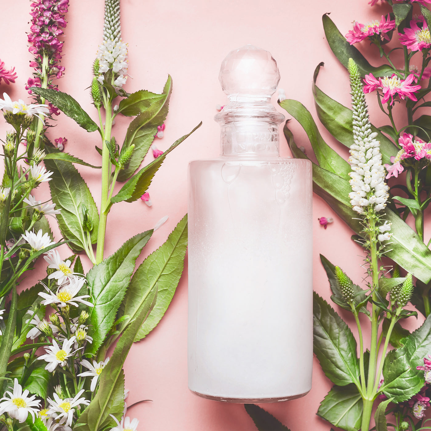 Parabens, Phthalates and Sulfates! - And The Truth Behind Them - OH MY!