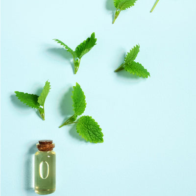 Ingredient of the Week: Peppermint Oil