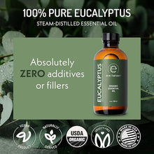 Organic Eucalyptus Oil - 4 oz