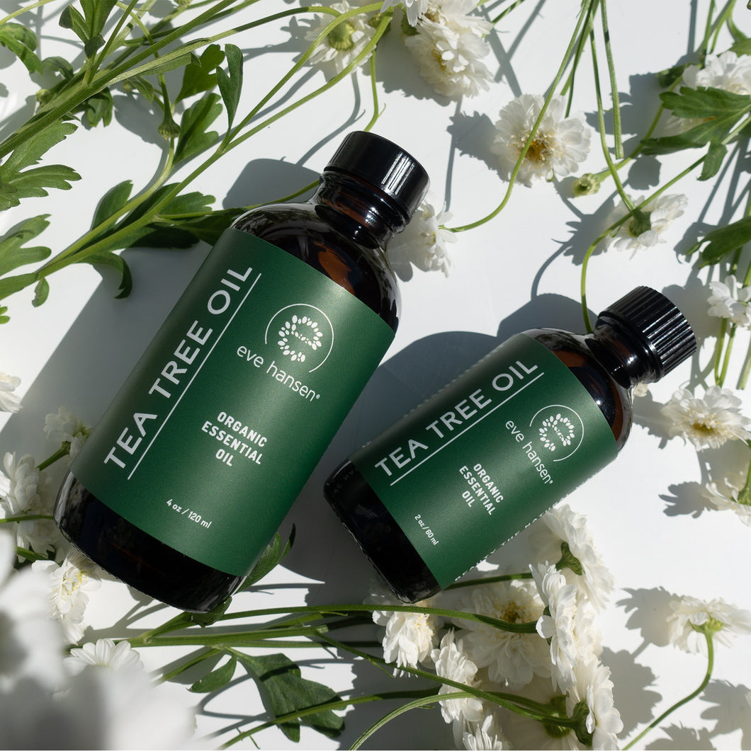 Highest Quality Organic Tea Tree Essential Oil (Melaleuca Alternifolia) by  Eve Hansen